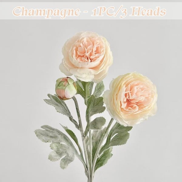 🔥Champagne